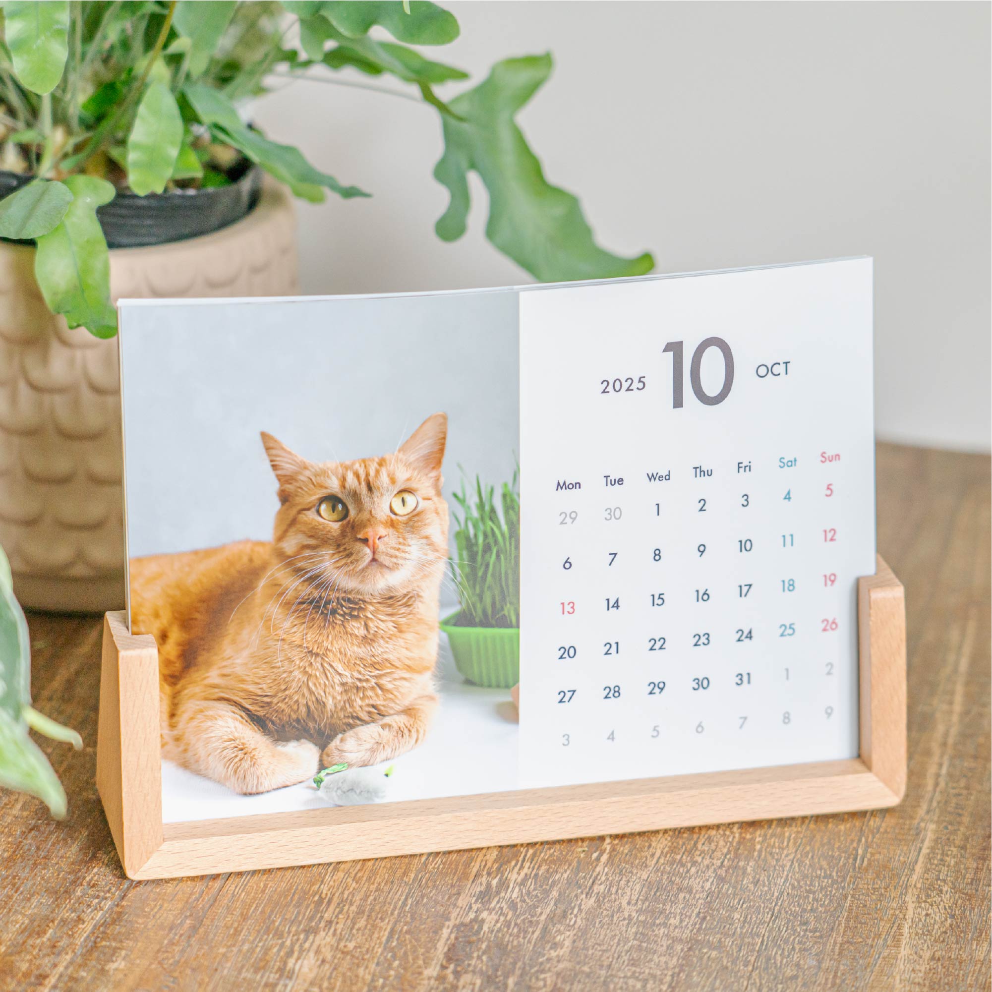 卓上フォトカレンダー