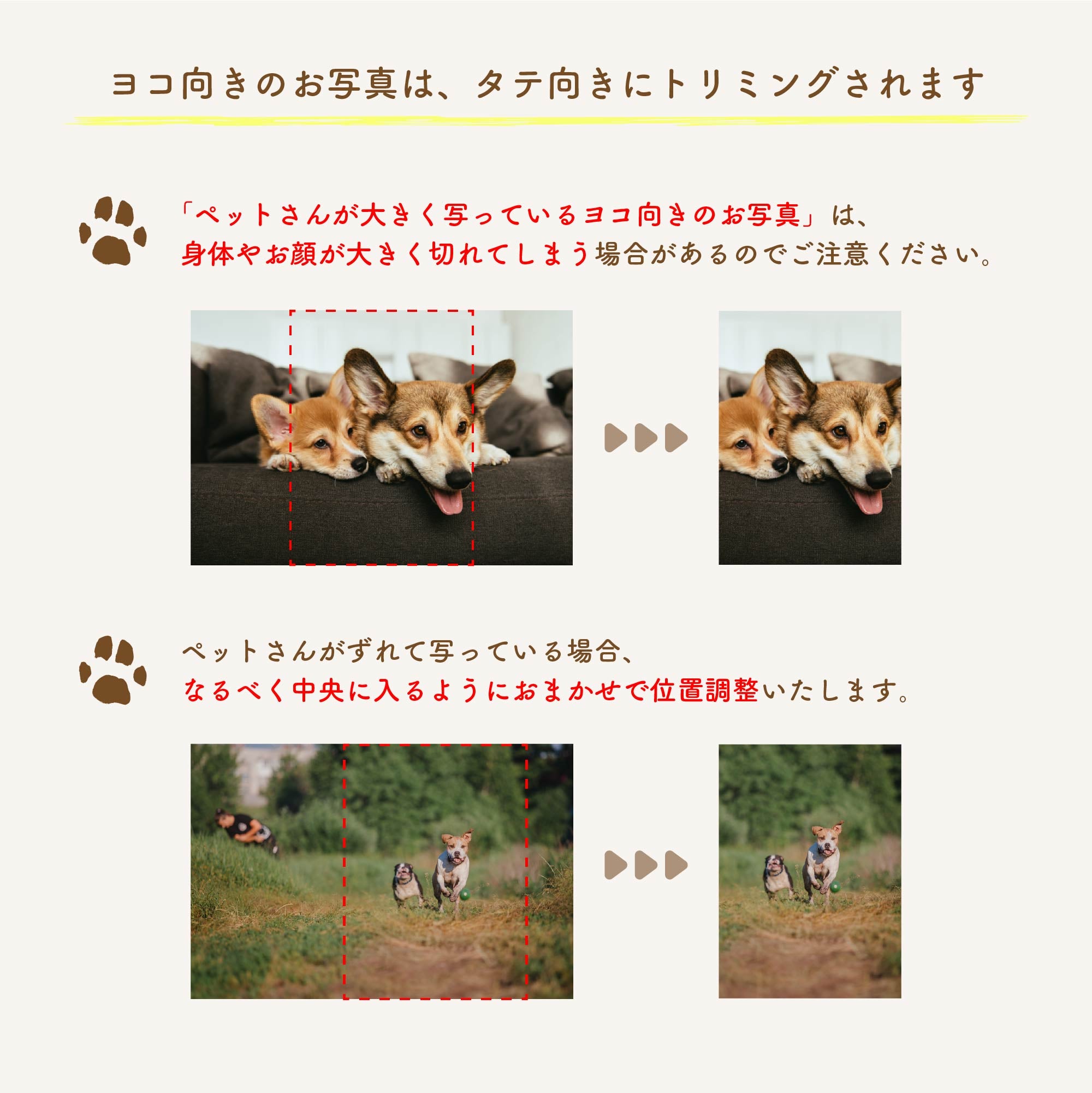 卓上フォトカレンダー