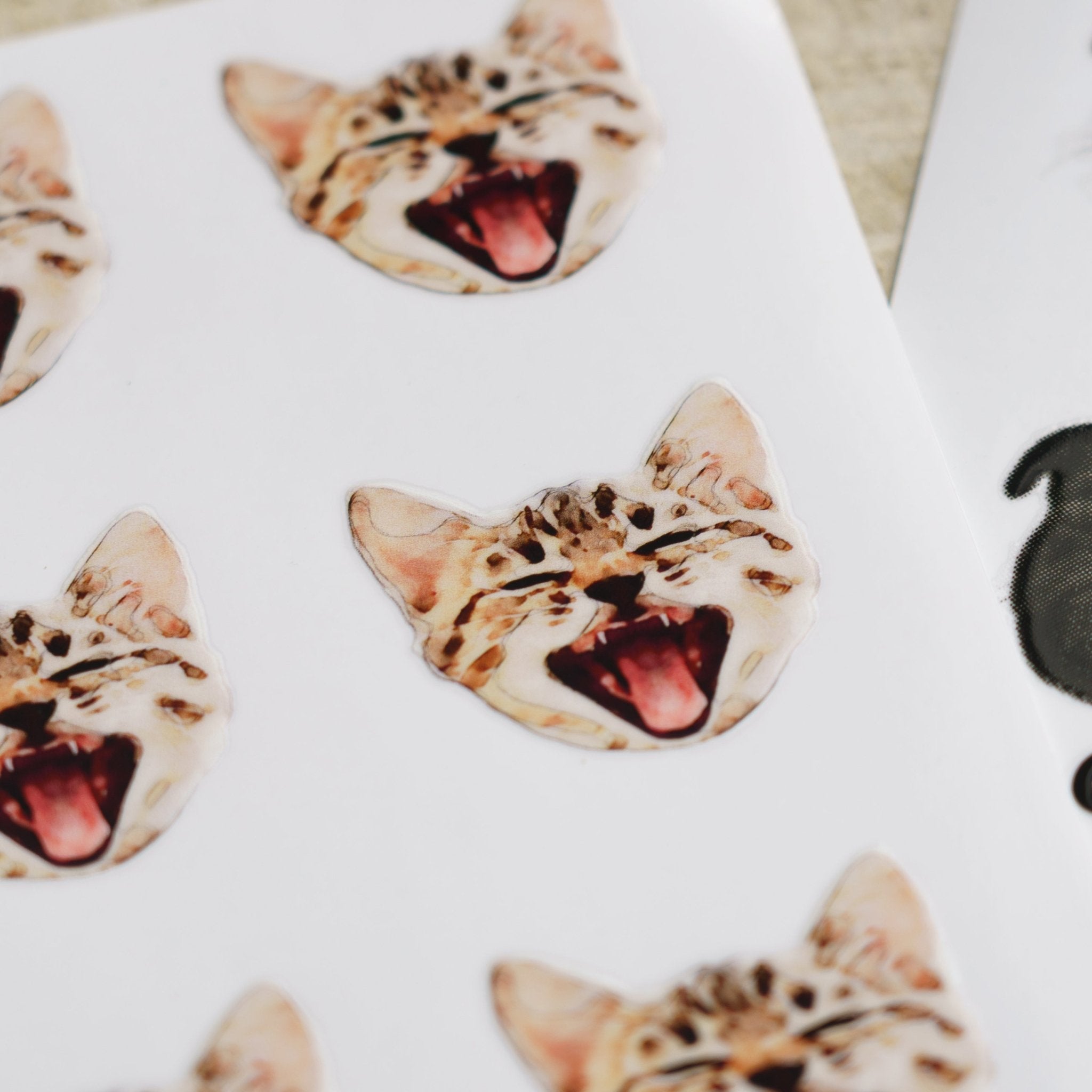 ペットの写真でオリジナルステッカー (似顔絵ステッカー) - うちの子グッズ Qoo │ ペットの写真を送るだけオリジナルうちの子グッズなら