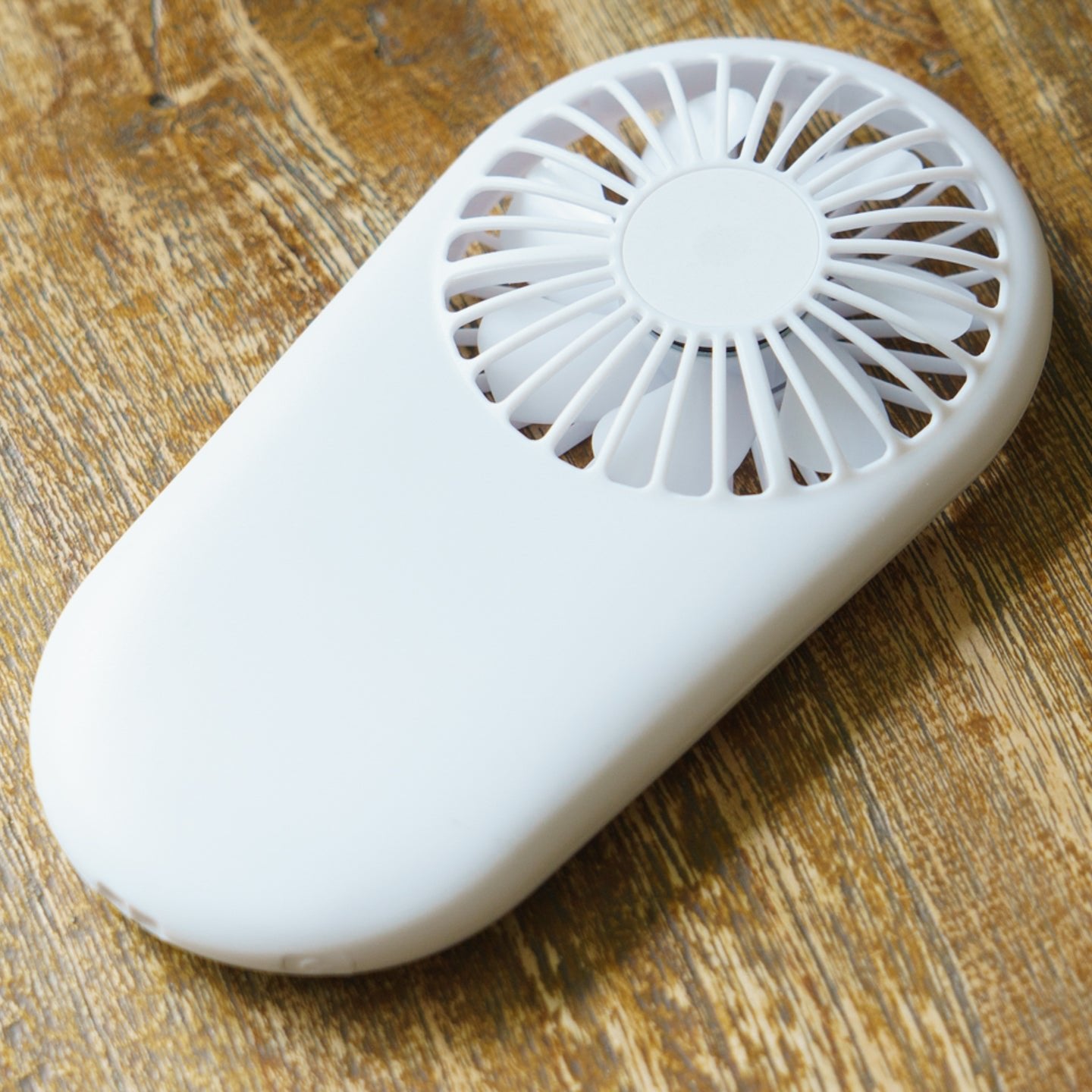 ペットの写真でオリジナルハンディファン (似顔絵ハンディファン) - うちの子グッズ Qoo │ ペットの写真を送るだけオリジナルうちの子グッズなら