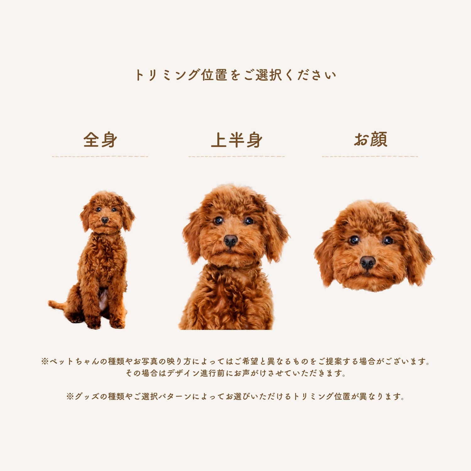 ペットの写真でオリジナル似顔絵Tシャツ - うちの子グッズ Qoo │ ペットの写真を送るだけオリジナルうちの子グッズなら